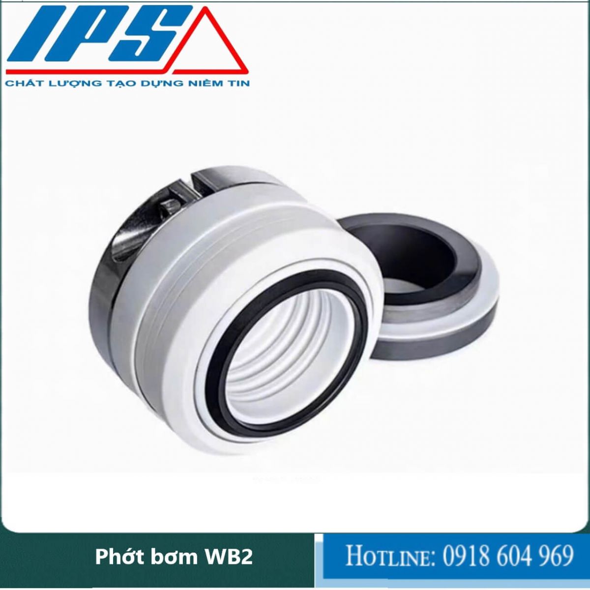 /Phớt bơm WB2-6(3)